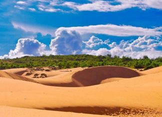 Khám phá vẻ đẹp khó cưỡng của đồi cát trong chuyến du lịch Mũi Né Phan Thiết