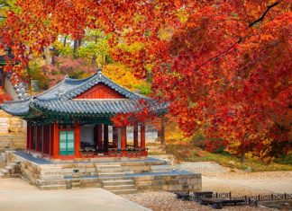 Check in cung điện Changdeok – địa điểm du lịch Hàn Quốc nổi tiếng Check in cung điện Changdeok - địa điểm du lịch Hàn Quốc nổi tiếng
